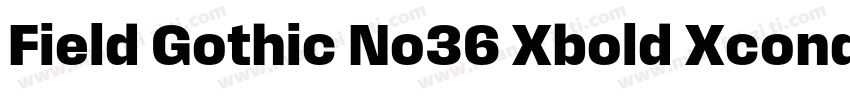 Field Gothic No36 Xbold Xcond字体转换